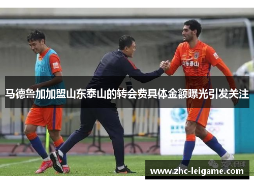 马德鲁加加盟山东泰山的转会费具体金额曝光引发关注