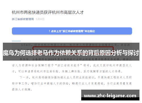 魔鸟为何选择老马作为依赖关系的背后原因分析与探讨
